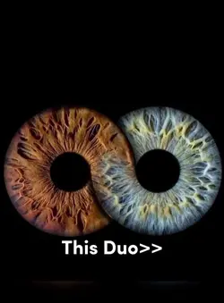 Augen Duo