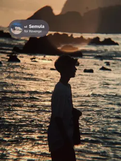 semula - for revenge