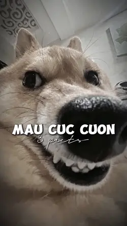 Mây đưa em dẫn lối