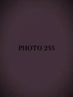 255 Photos