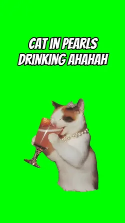 Cat drinking ahahaha