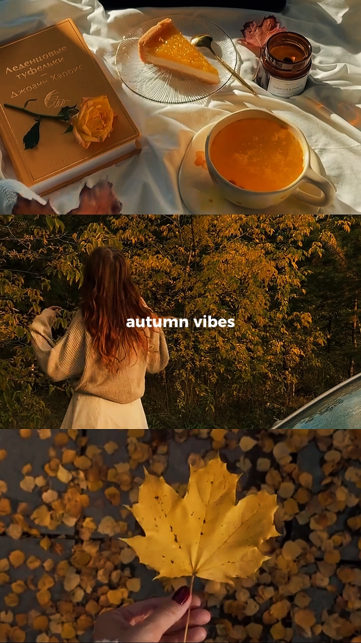 autumn vibes