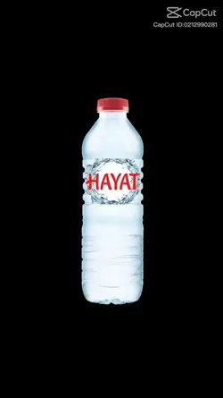 Gs'lileri Görelim 