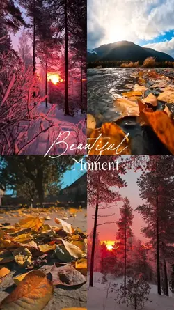 Beautiful Moment