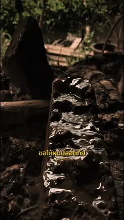 ขอให้ฟ้ามีตา
