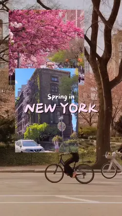 Spring in New York