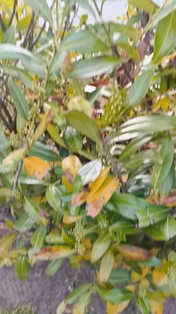 Sky slow motion