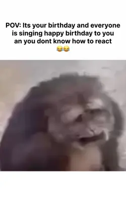 FUNNY MEME TEMPLATE 