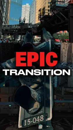 epic transition