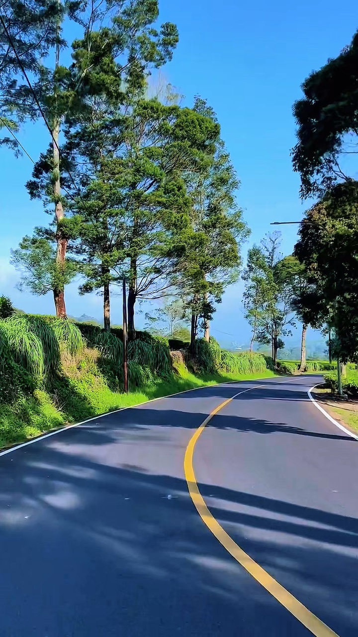8 video road travel