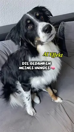 Hund Gedanken AI