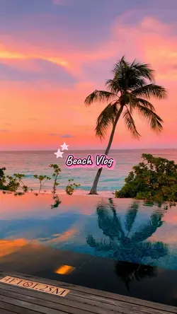 Beach Vlog