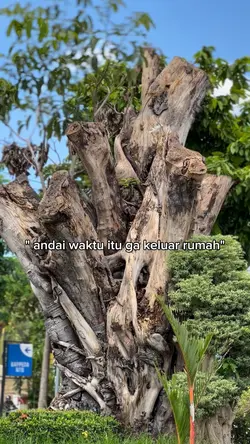 andai waktu itu ga 