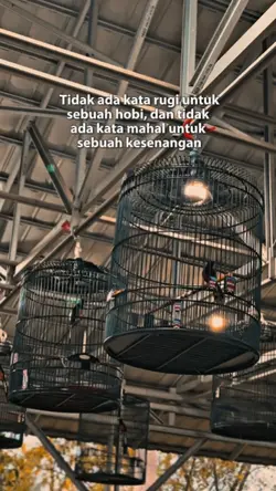 tidak ada kata rugi 