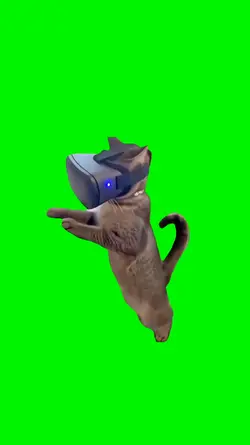 king nasir VR cat