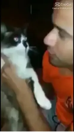 Palmeiras não tem mu