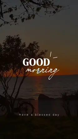 MORNING