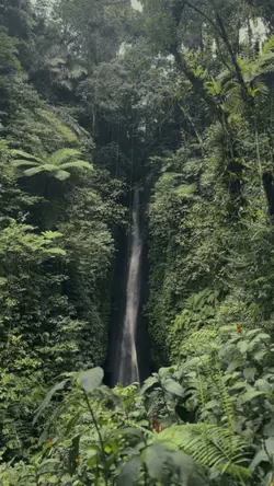 I fell it aestehetic