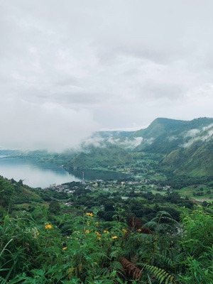 Cover Picture