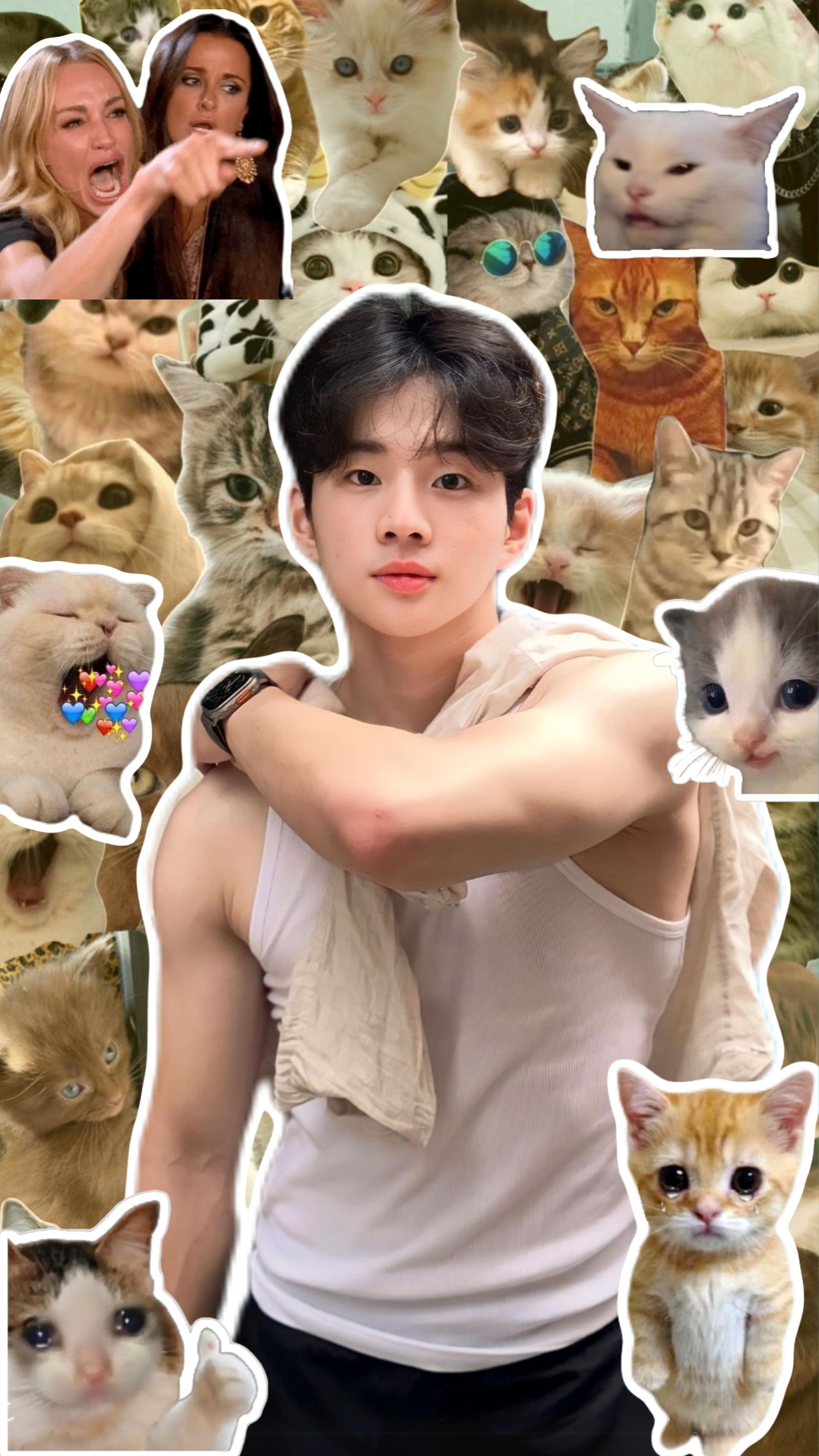 귀여운 고양이