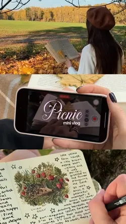 picnic mini vlog