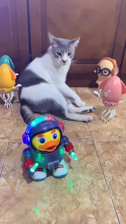 DJ mimim cucu