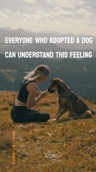 Doglove 🐾