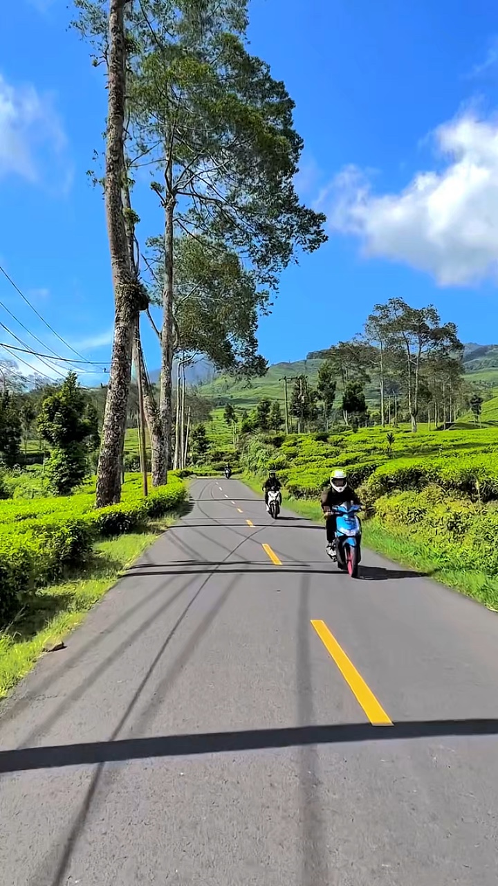 6 klip video hd