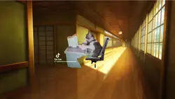 タイピング猫猫ミーム