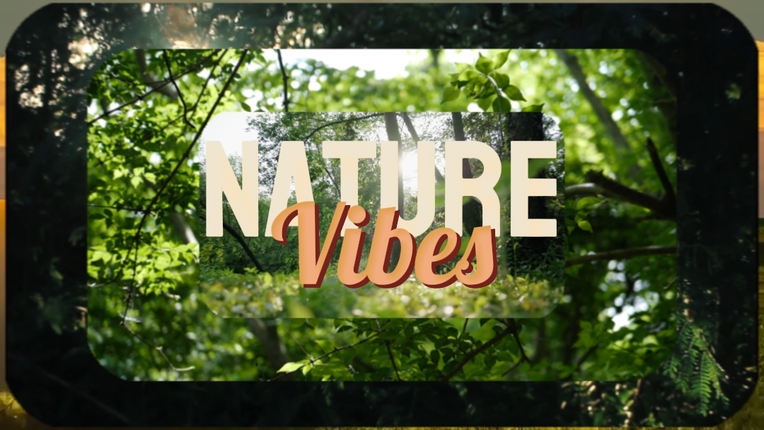 Vibrações Da Natureza 