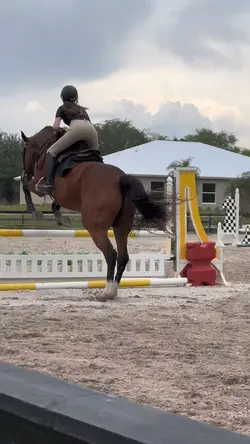 eq is 🤮 ⚠️FAKE⚠️