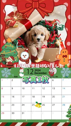 12月カレンダー/フォロワーの皆様