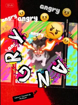 CAT MeMe Angry !GO!