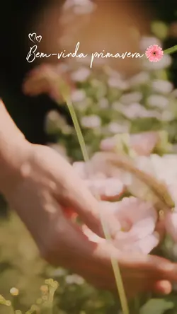 Primavera