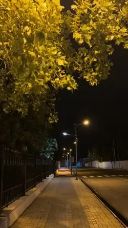 üretli olmadn kullan