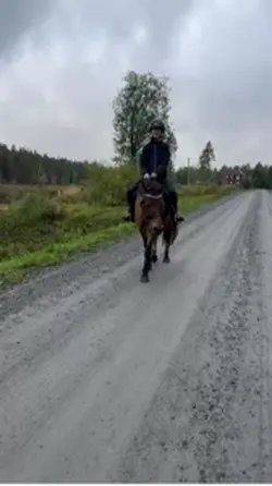 junior å minette