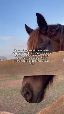 onde smp quis estar.