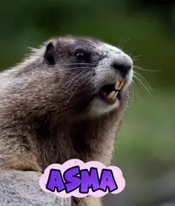 ASMA