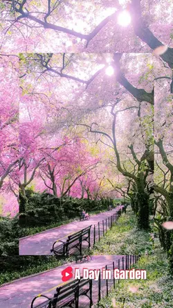 A day in garden22