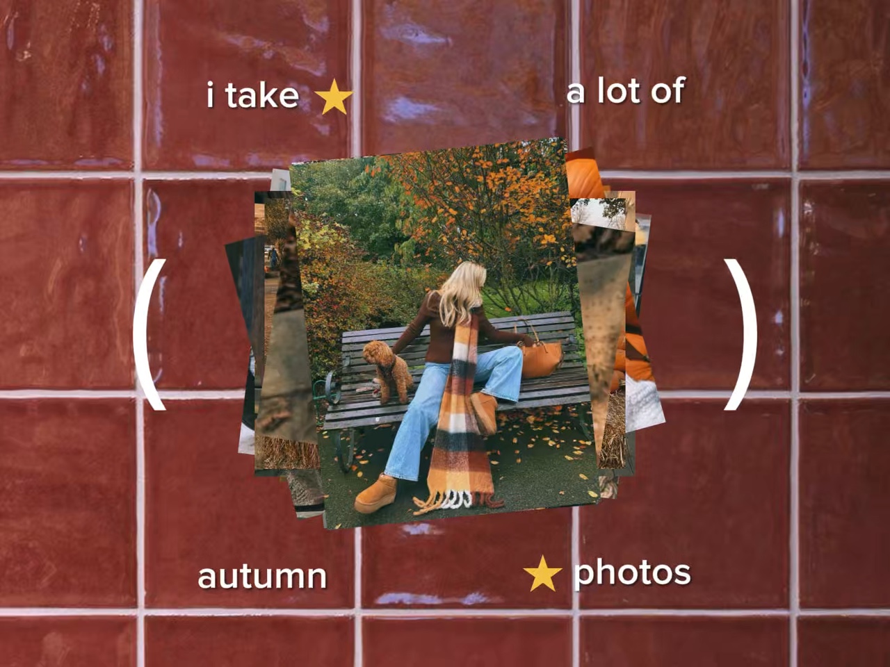 Autumn photos