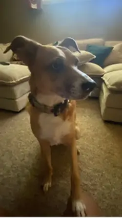 i want to be ninja🤣🤣