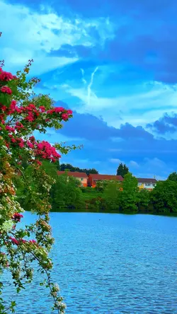 🌲🌸🌴