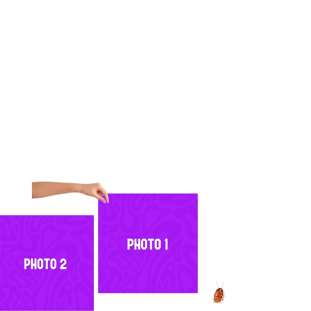 NEW VIRAL TEMPLATE 