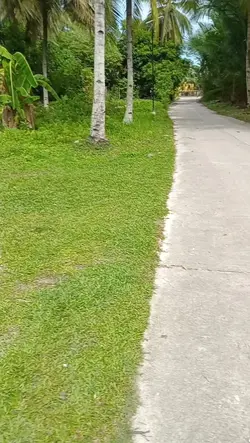 fyp