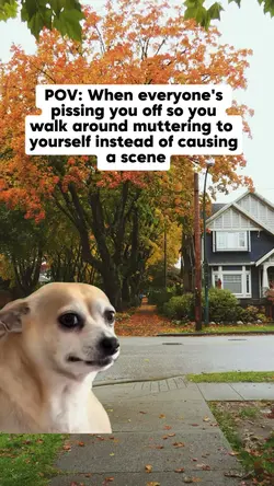 everyone's pissing