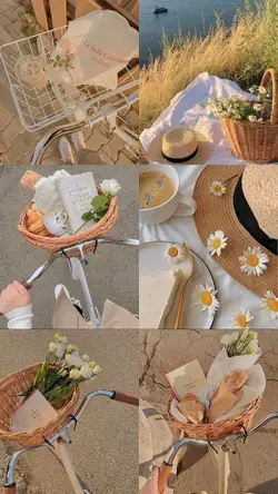 6 foto collage