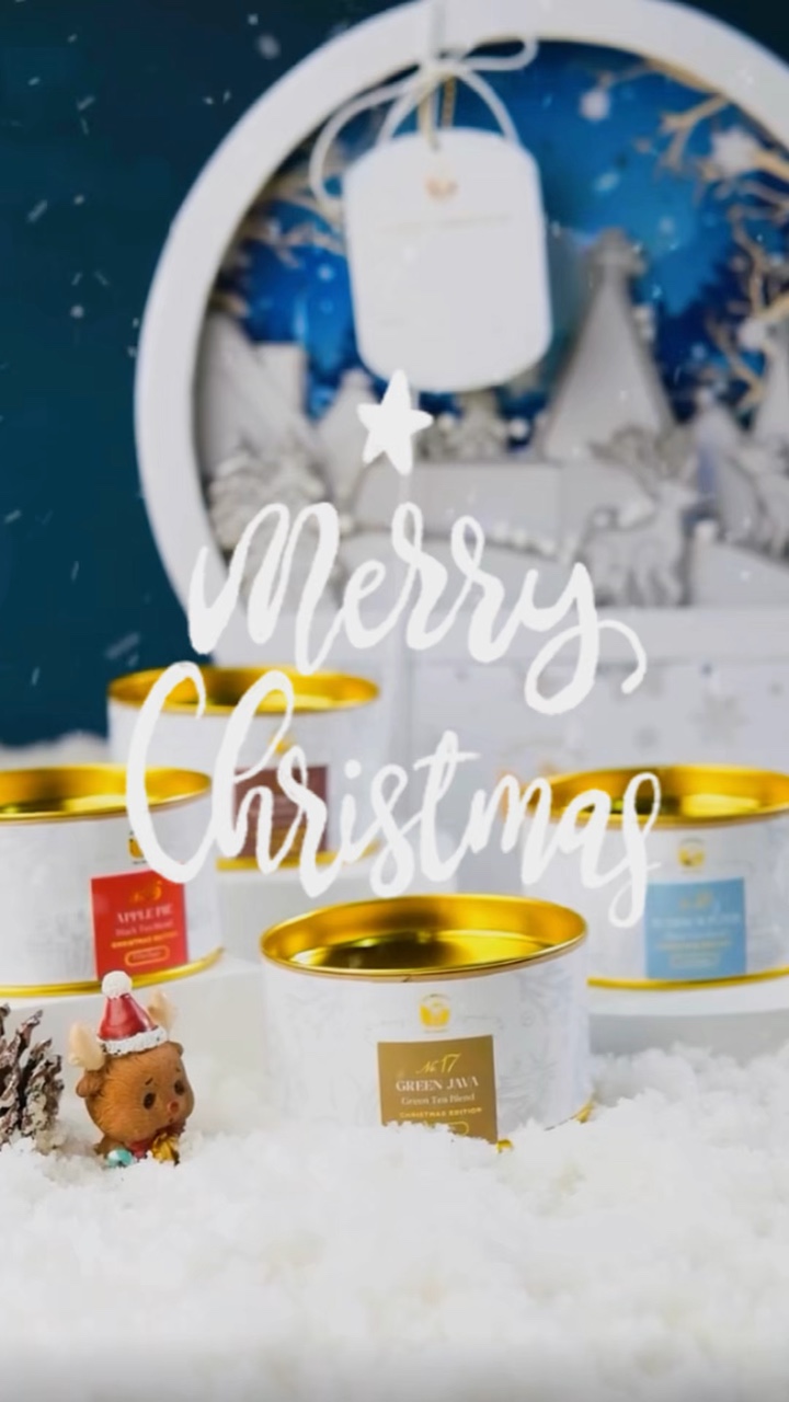 vlog : christmas
