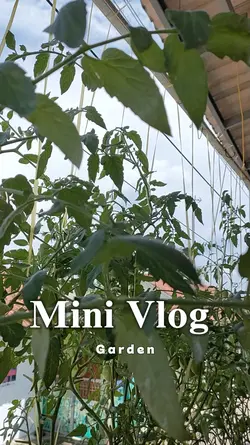 MINI Vlog Garden