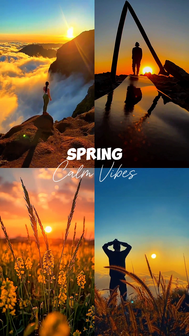 Vibras Calmas De Primavera
