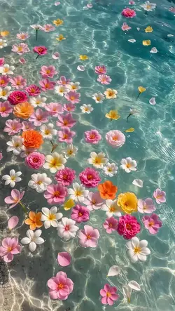 3d wallpaper